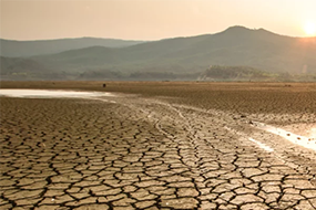 drought Shutterstock/Piyaset.png