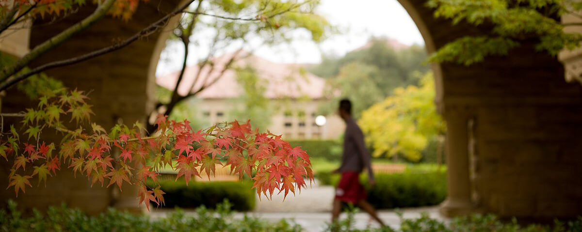 A branch of a tree shows a spectrum from light green to a bright orange red at the end of the limb. A man walks through the arches on Stanford campus in the background.
